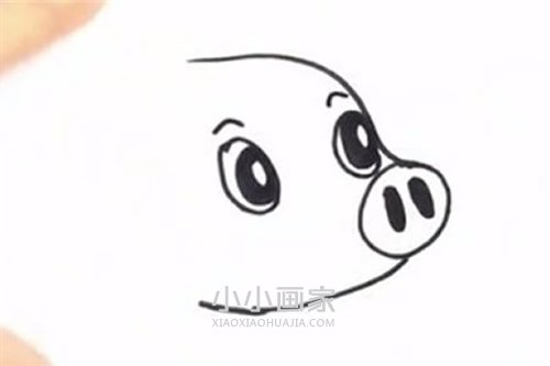 可爱卡通小猪简笔画画法图片步骤步骤3