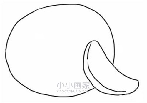 黑白橘子简笔画画法图片步骤步骤3