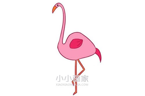 彩色火烈鸟简笔画画法图片步骤