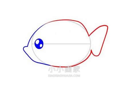 可爱小扁鱼简笔画画法图片步骤步骤5