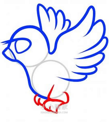 飞翔的和平鸽简笔画画法图片步骤步骤5