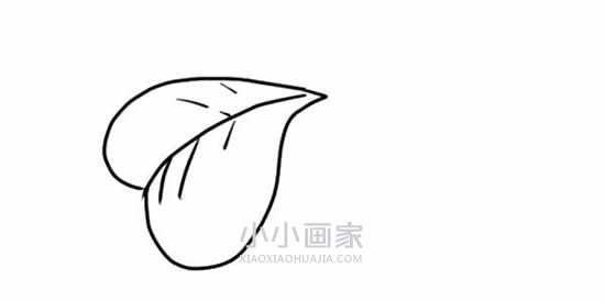 四叶草简笔画画法图片步骤步骤3