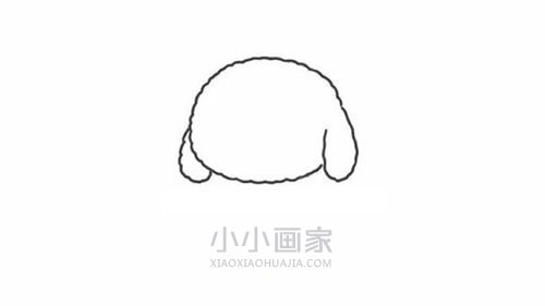 彩色小泰迪简笔画画法图片步骤步骤2