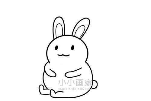 背靠胡萝卜的小白兔简笔画画法图片步骤步骤5