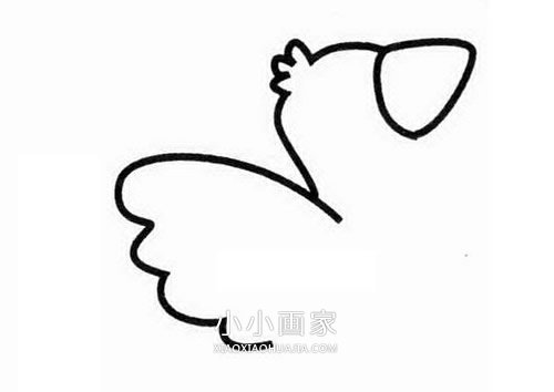 简单乌鸦简笔画画法图片步骤步骤2
