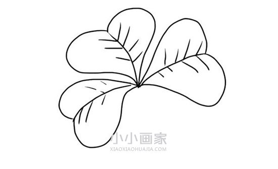 四叶草简笔画画法图片步骤步骤5