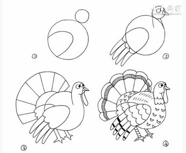 绘本故事胖火鸡简笔画画法图片步骤