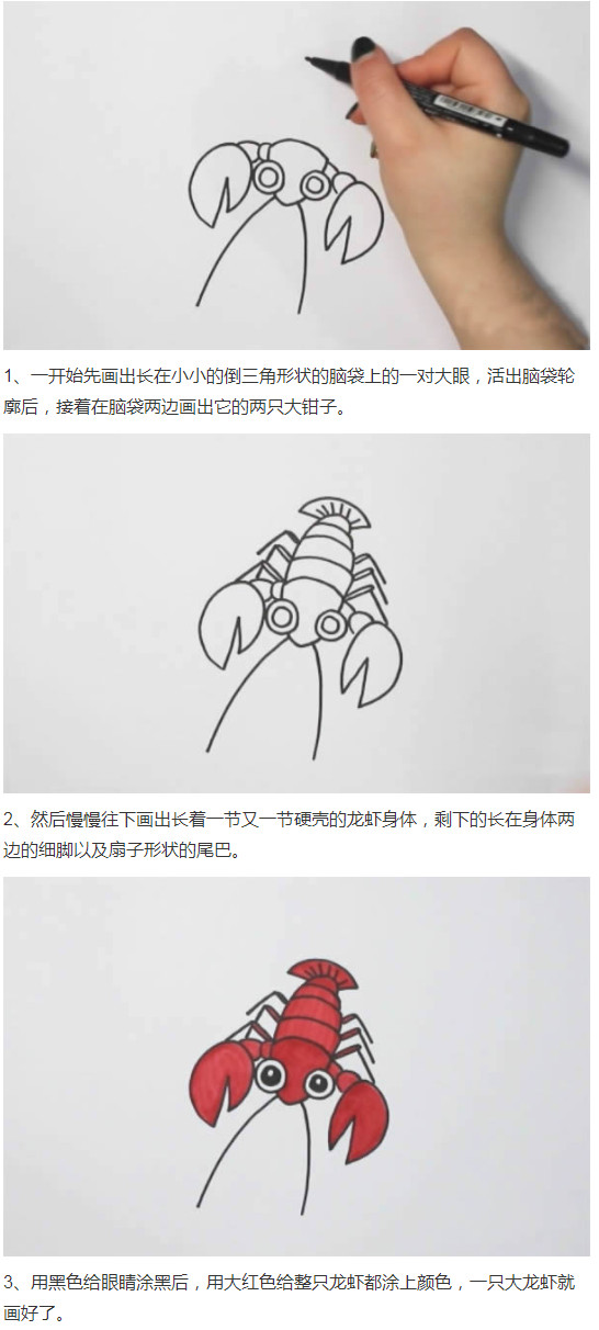 小龙虾怎么画带步骤图简单又好看步骤1