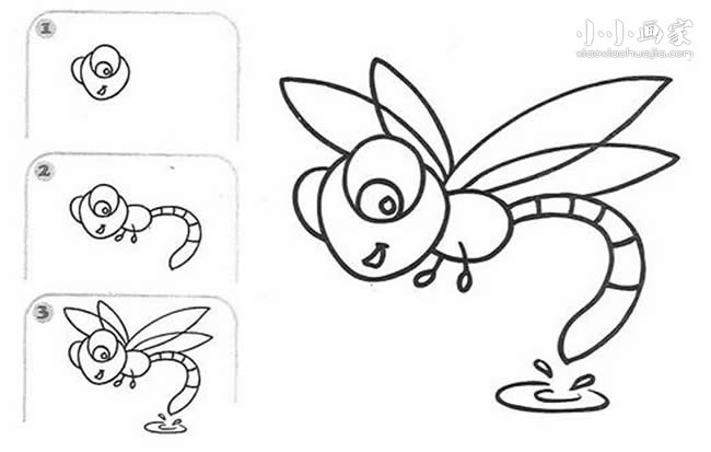 绘本故事蜻蜓点水简笔画画法图片步骤