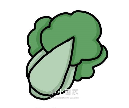 彩色白菜简笔画画法图片步骤步骤1