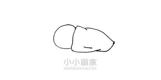 睡在月亮上的兔子简笔画画法图片步骤步骤3