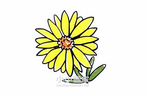 清明节菊花简笔画画法图片步骤步骤1