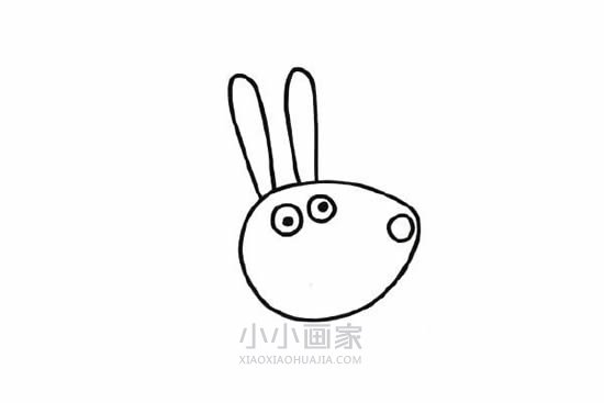 简单小兔瑞贝卡简笔画画法图片步骤步骤4