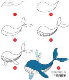 绘本故事优雅的鲸鱼简笔画画法图片步骤