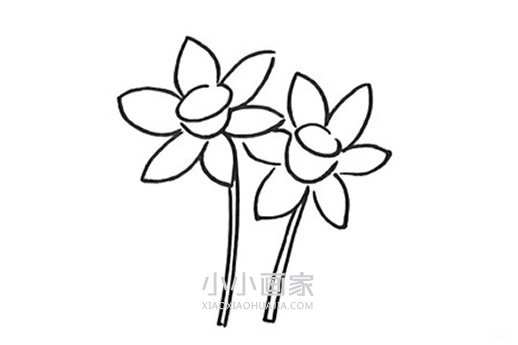 卡通水仙花简笔画画法图片步骤步骤5