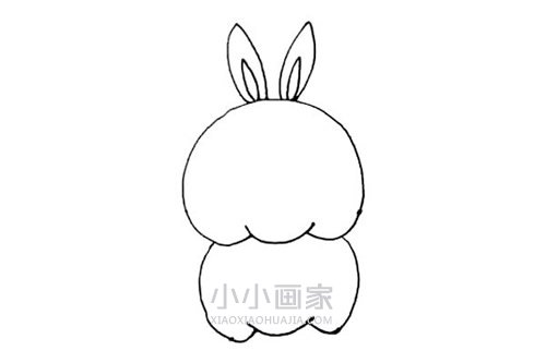 卡通流氓兔简笔画画法图片步骤步骤5