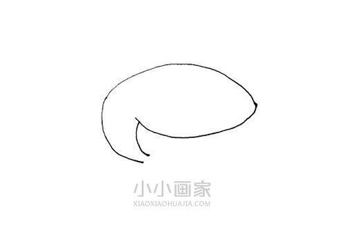 水中鲨鱼简笔画画法图片步骤步骤2