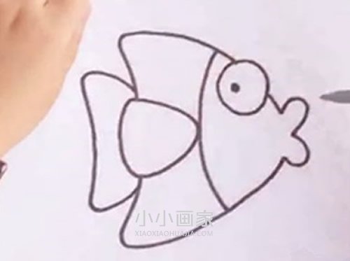 卡通热带小鱼简笔画画法图片步骤步骤4