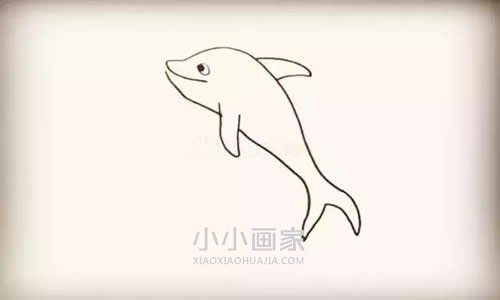 跃出水的海豚简笔画画法图片步骤步骤5