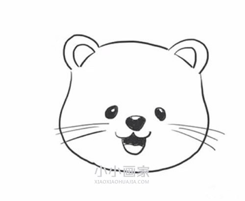 简单卡通小狮子简笔画画法图片步骤步骤3