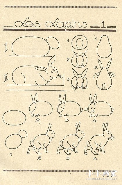 绘本故事不同形态兔子简笔画画法图片步骤