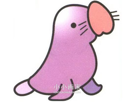 绘本故事彩色海豹简笔画画法图片步骤
