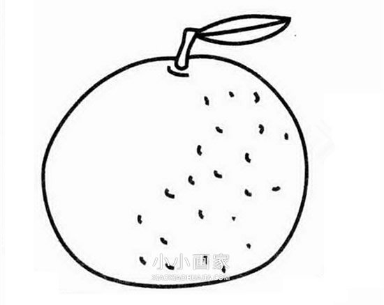 简单橘子简笔画画法图片步骤步骤1