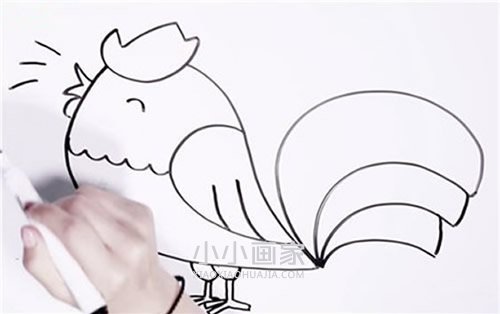 绘本故事打鸣大公鸡简笔画画法图片步骤