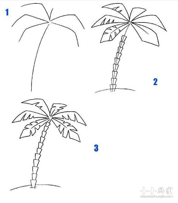 绘本故事椰子树简笔画画法图片步骤