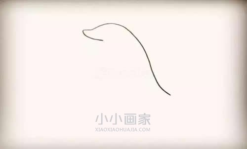 跃出水的海豚简笔画画法图片步骤步骤2