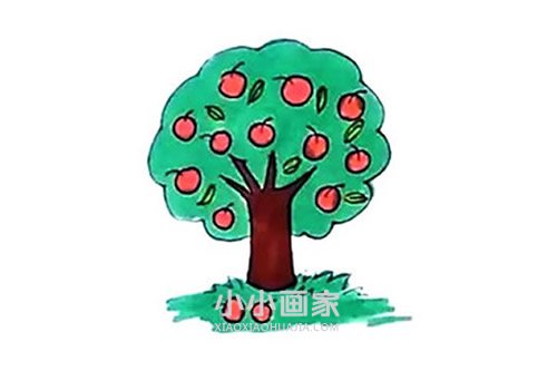 绘本故事彩色苹果树简笔画画法图片步骤
