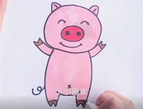 绘本故事可爱小粉猪简笔画画法图片步骤