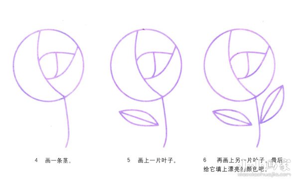 绘本故事含苞待放玫瑰花简笔画画法图片步骤