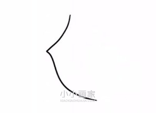 彩色小刺猬简笔画画法图片步骤步骤2