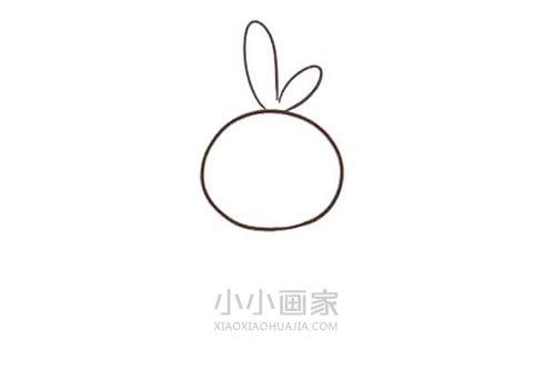 吃萝卜的小白兔简笔画画法图片步骤步骤2