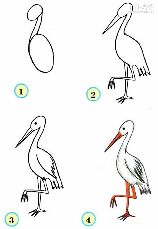 优雅的鹤简笔画画法图片步