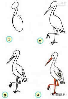 绘本故事优雅的鹤简笔画画法图片步