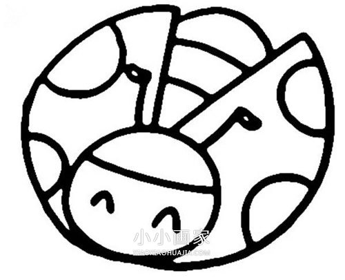 卡通七星瓢虫简笔画画法图片步骤步骤4