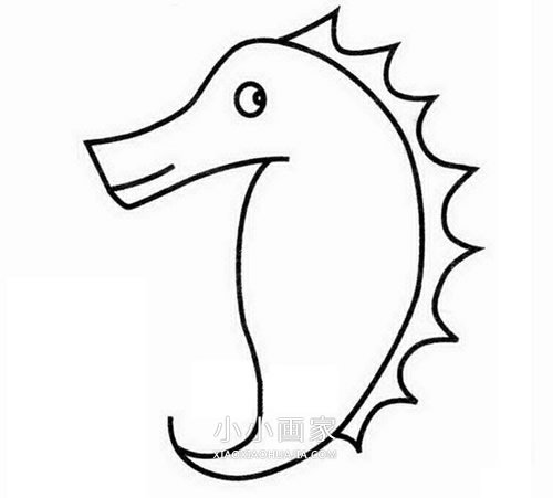 海马爸爸和小海马简笔画画法图片步骤步骤5
