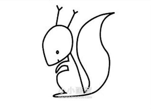 绘本故事可爱松鼠简笔画画法图片步骤