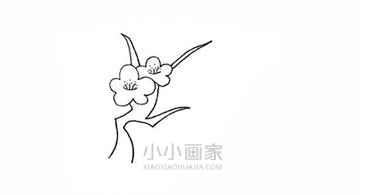 彩色梅花简笔画画法图片步骤步骤4