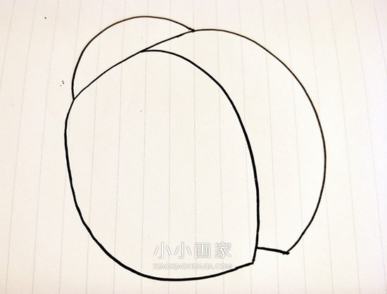 卡通瓢虫简笔画画法图片步骤步骤2