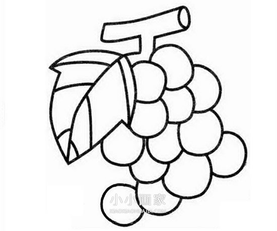 简单葡萄串的简笔画画法图片步骤步骤1