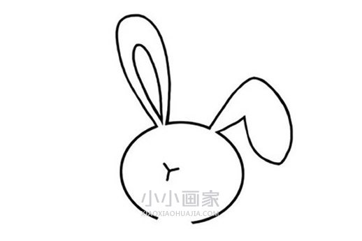 可爱小白兔简笔画画法图片步骤步骤4