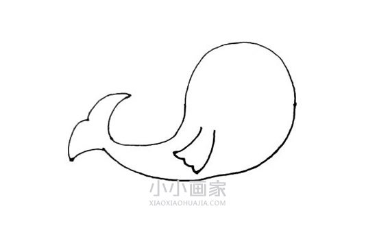 可爱海豹简笔画画法图片步骤步骤4