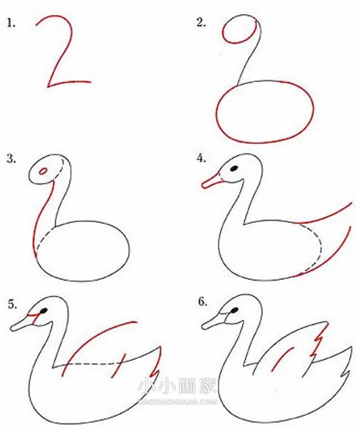 绘本故事数字2简笔画天鹅的画法图片步骤