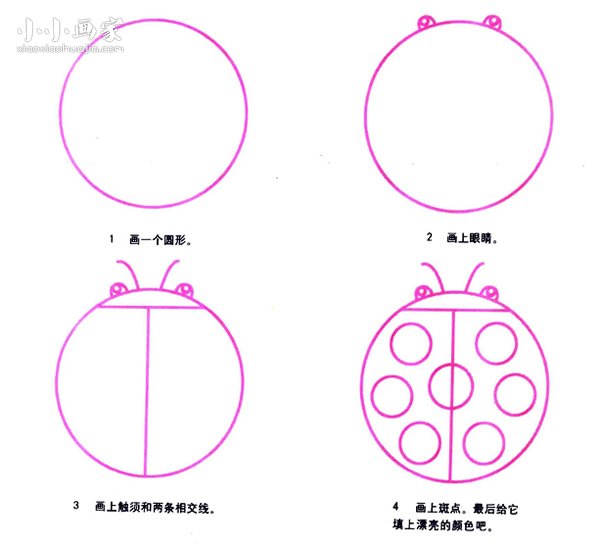 绘本故事小小七星瓢虫简笔画画法图片步骤