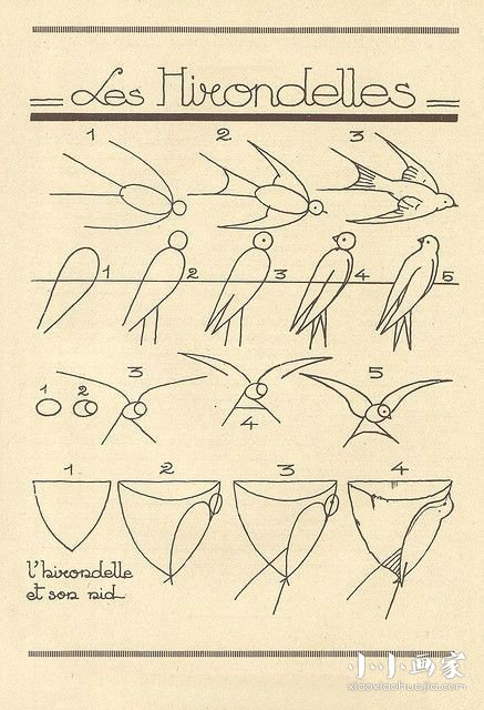 绘本故事三种燕子简笔画画法图片步骤