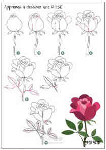 彩色玫瑰花简笔画画法图片步骤步骤1