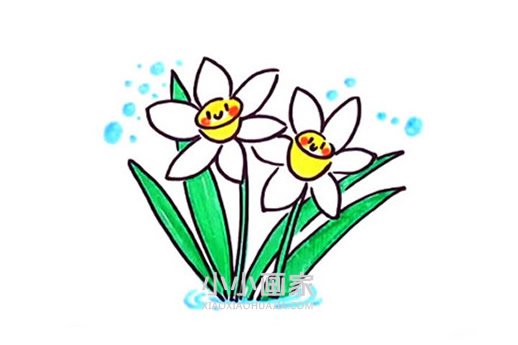 绘本故事卡通水仙花简笔画画法图片步骤